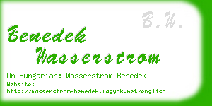 benedek wasserstrom business card